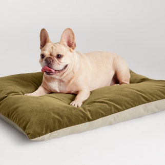 Signal Small Dog Bed