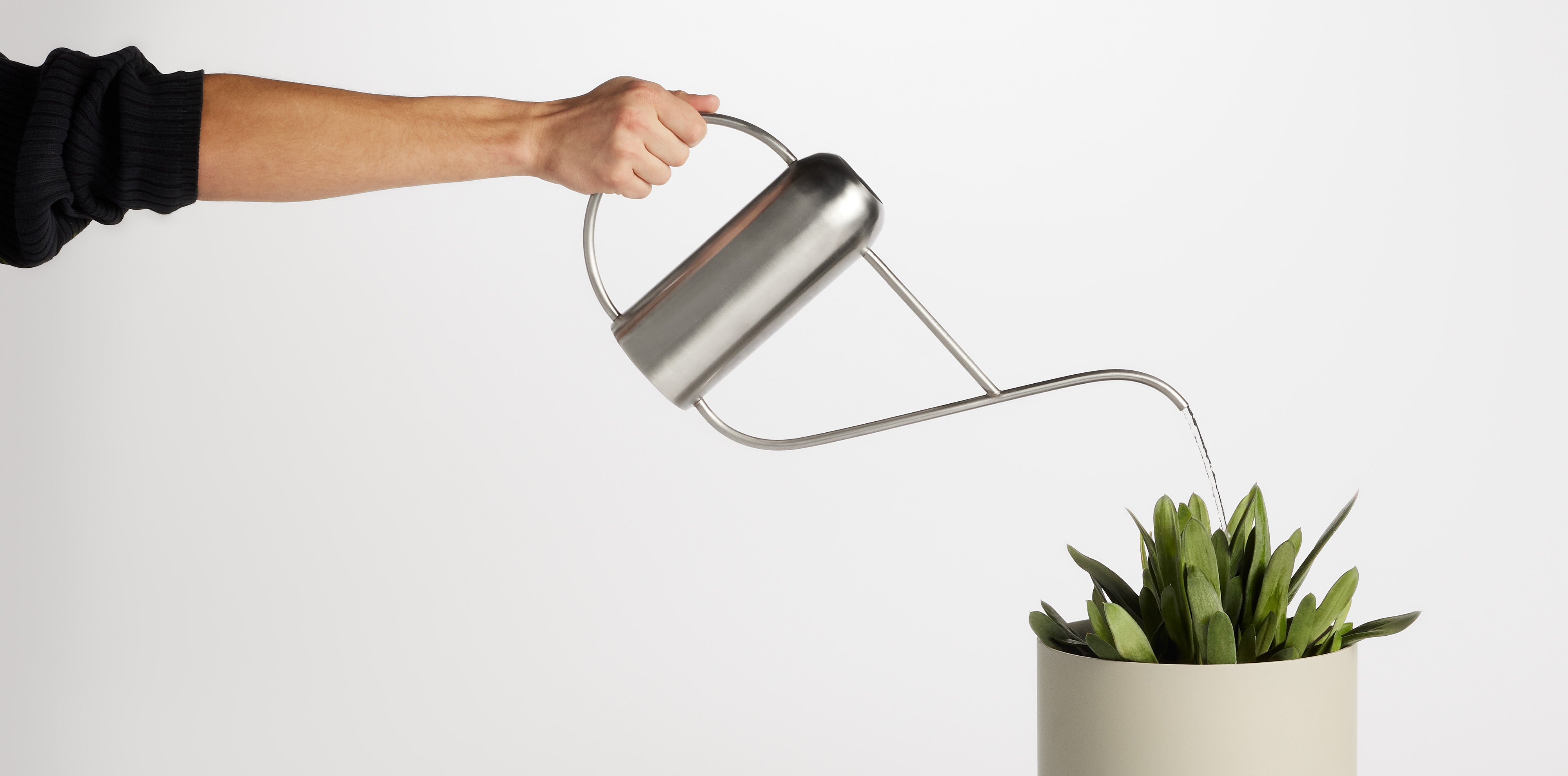 Li'l Dripdrop Wateringcan